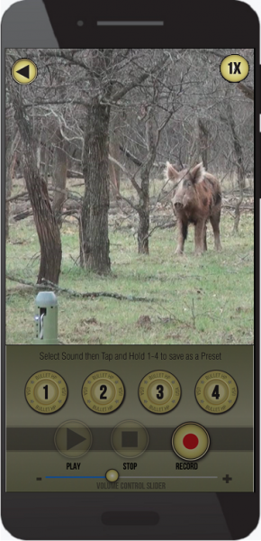 Convergent Hunting Solutions - Game Calling Products